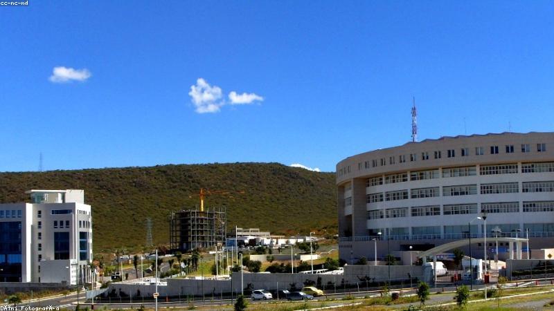 91网页浏览器主界面展示，九一开窗的清爽开始页
